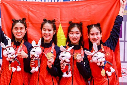 Thể thao Việt Nam: Khát vọng chinh phục đấu trường châu lục