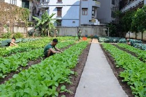 Ngành hậu cần Bộ tư lệnh Thủ đô Hà Nội: Khắc phục khó khăn bảo đảm tốt cho các nhiệm vụ