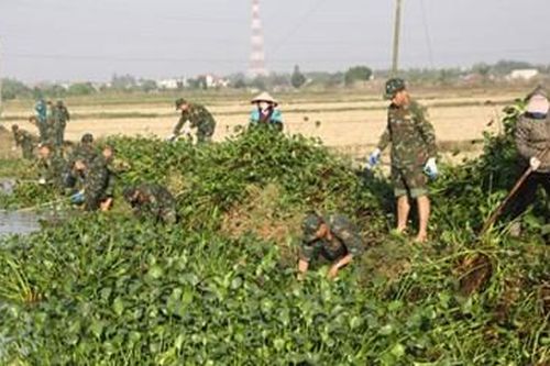 Niềm tin thắng lợi