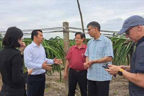 Hỗ trợ nông nghiệp Việt phát triển hiệu quả