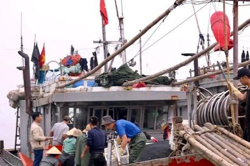 Ngư dân Thanh Hóa phấn khởi trúng đậm mẻ cá lớn đầu năm