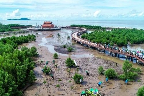 Vẻ đẹp Đất Mũi nhìn từ trên cao