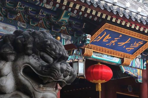 ĐH có an ninh nghiêm ngặt nhất Trung Quốc, giáo sư quên thẻ bị bảo vệ rượt đuổi