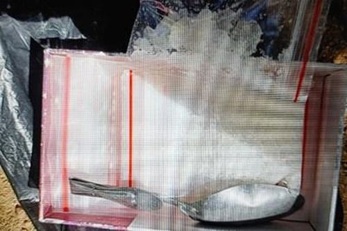 Bắt giữ đối tượng mua bán trái phép chất ma túy