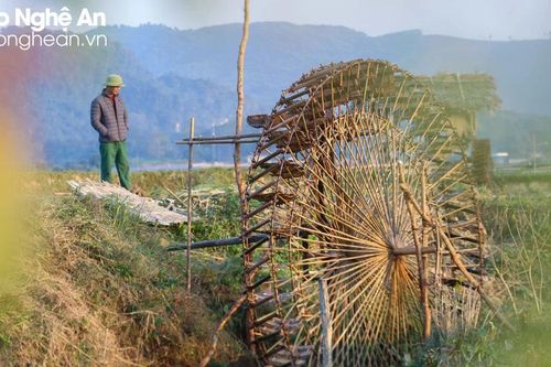 Người Thái Quỳ Châu vào 'mùa' làm cọn nước