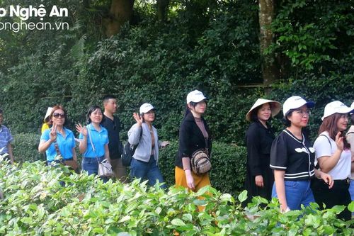 Hàng nghìn du khách về thăm quê Bác trong ngày đầu năm mới