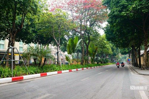 Phố phường Hà Nội thanh bình ngày đầu năm mới 2024