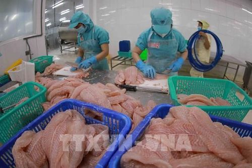Doanh nghiệp vượt sóng tái cấu trúc
