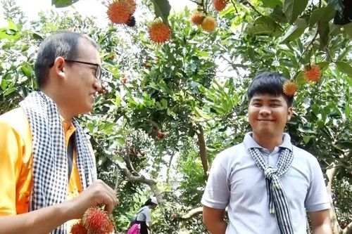 Từ ngày 1-1-2024, doanh nghiệp lữ hành thực hiện ký quỹ
