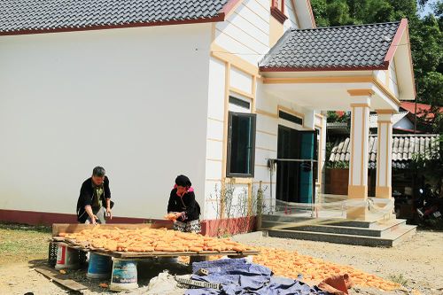 Xóm Mới đón Xuân về