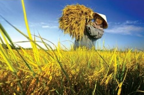 Thế đứng đất nước nhìn từ hai mặt trận