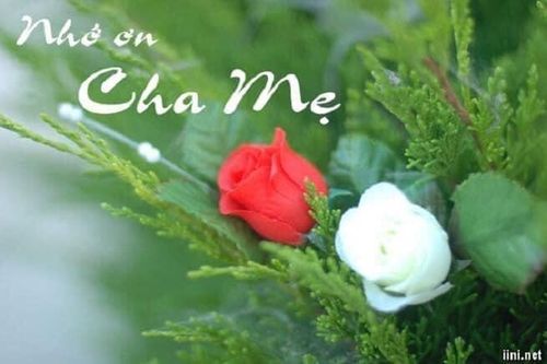 Hai bài thơ mới của Đức Sơn