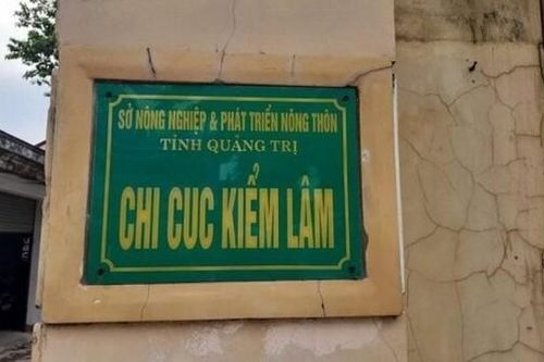 Nguyên Chi cục trưởng Chi cục Kiểm lâm tỉnh Quảng Trị và thuộc cấp bị xử lý