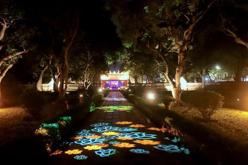 Đi giữa giấc mơ hồng
