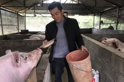 Anh Quyết làm kinh tế giỏi
