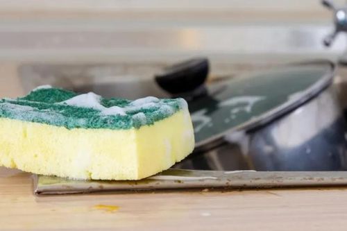 Tại sao phải làm sạch miếng bọt biển nhà bếp hàng ngày?
