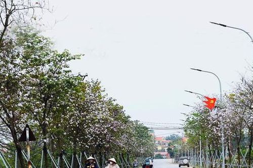 Thêm những miền quê đáng sống