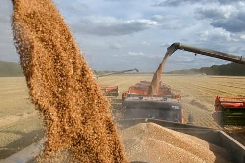 Nga gia hạn lệnh cấm xuất khẩu gạo đến hết tháng 6-2024