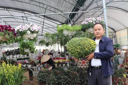 Hối hả cho mùa hoa Tết bội thu