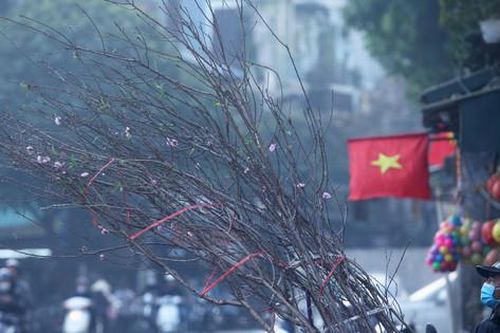 Hà Nội yên bình trong ngày đầu năm mới 2024