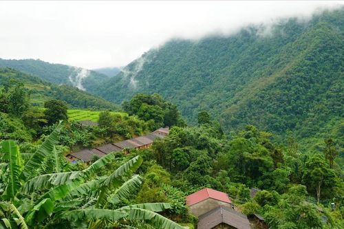 Đi tìm nỗi nhớ ấy