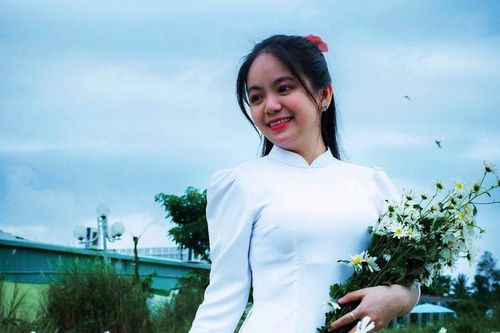 Quảng Ngãi: Du khách đắm say vườn hoa cúc họa mi