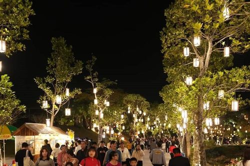Hơn 300 nghìn lượt khách đến Ninh Bình trong dịp năm mới