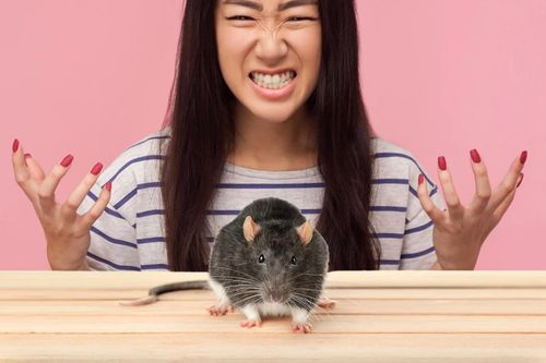 Nữ sinh Trung Quốc cắn chuột để trả thù