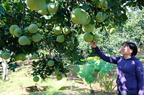 6 huyện của Hà Nội không còn hộ nghèo