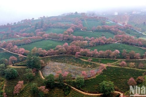 Lên kế hoạch sớm để có chuyến du lịch Tết hợp lý