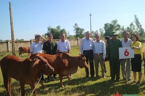 15 năm 'góp xuân' cho nạn nhân da cam