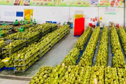 Điểm sáng nông nghiệp