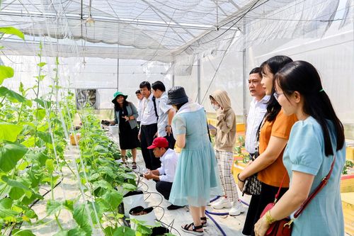 Quy hoạch mạng lưới cơ sở GD đại học: Sẵn sàng vào cuộc
