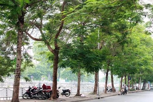 Xốn xang đầu năm