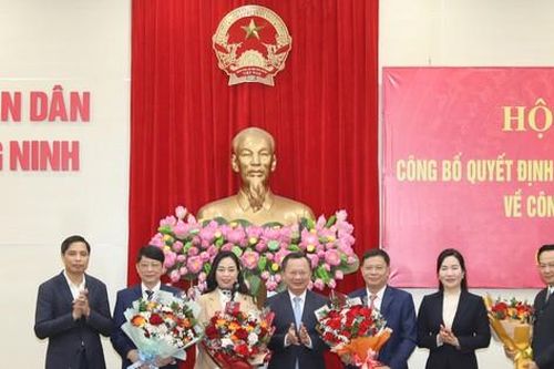 Quảng Ninh điều động, bổ nhiệm nhiều vị trí cán bộ chủ chốt