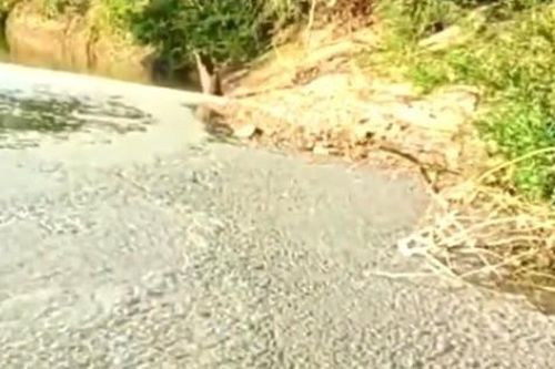 Tìm ra nguyên nhân khiến mặt nước Sông Bé trông như lớp bê tông đông cứng