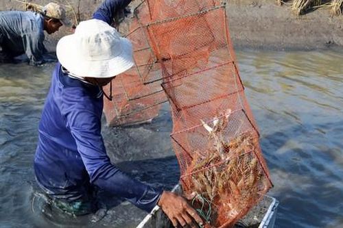 Phê duyệt dự án hơn 1.400 tỷ đồng điều tiết nước ngọt ở Bạc Liêu