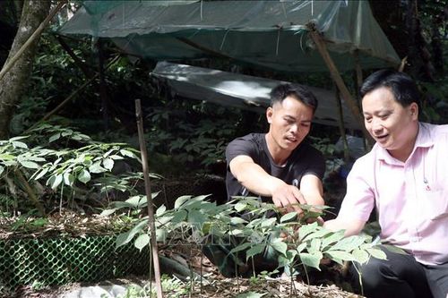 Thay đổi nếp nghĩ, cách làm, người Xơ Đăng vững tin hướng đến tương lai