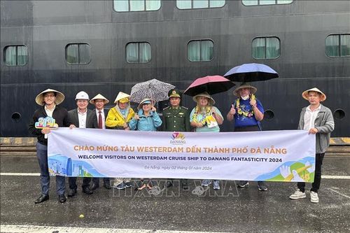 Trên 2.000 khách du lịch đến tham quan Đà Nẵng bằng đường biển