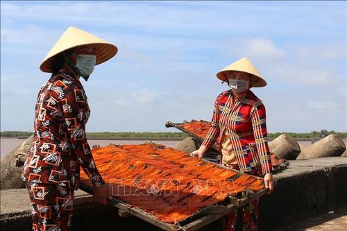 'Thủ phủ' nghề làm hải sản khô Gành Hào vào mùa Tết