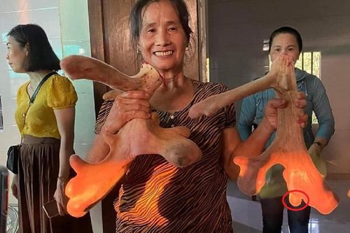 Lão nông mang 20 triệu mua con vật 'vừa lạ vừa quen' về nuôi, nhẹ nhàng đút túi 400 triệu/năm