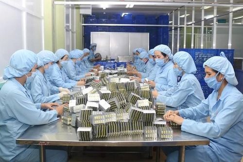 Phú Yên: Ưu tiên phát triển công nghiệp