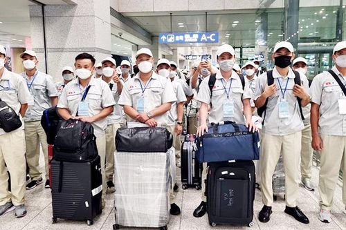 Dự kiến đưa hơn 15.000 lao động sang Hàn Quốc theo chương trình EPS trong năm 2024