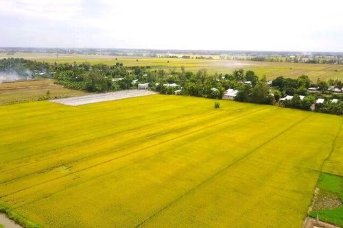 Huyện Thoại Sơn - một năm nỗ lực