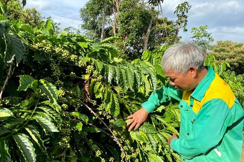 Thực hiện tốt công tác quy hoạch để xây dựng nông thôn mới bền vững