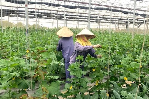 Điểm tựa cho phụ nữ thoát nghèo