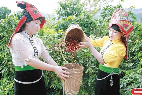 Nông nghiệp ứng dụng công nghệ cao