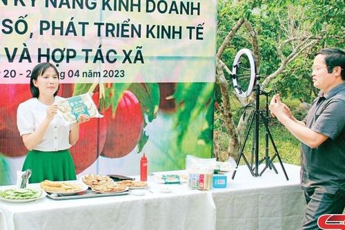 Sơn La hòa nhập kinh tế số