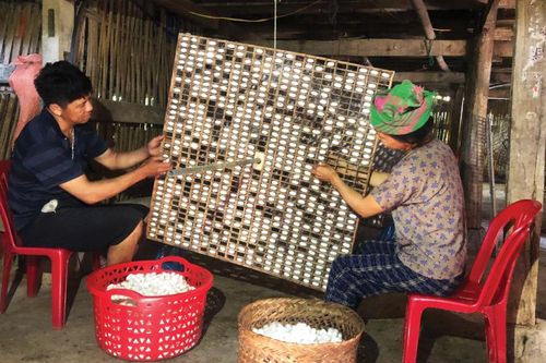 Tập trung nguồn lực thực hiện giảm nghèo bền vững