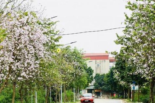 Trải nghiệm du lịch nông thôn ở Yên Mỹ